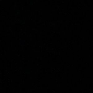 Meet your Posher, Darius